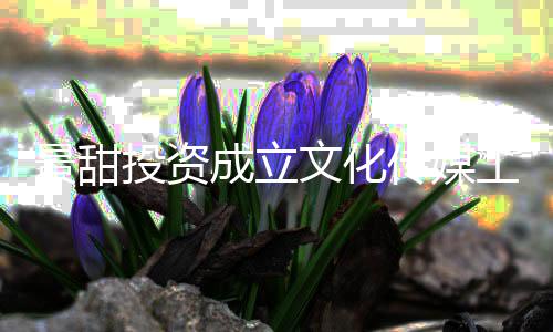 比例达9投资文化室 工作成立传媒持股景甜
