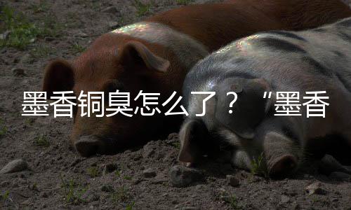 香铜刑事墨香墨案判铜臭怎么非法臭经营决了