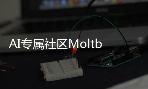 T的听听专属在孵网社区化天分析理性